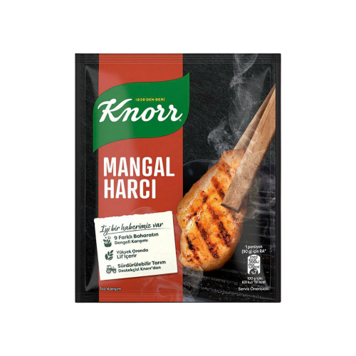 KNORR BBQ SPICY 37GR