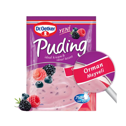 DR.OETKER PUDDING WITH FOREST FRUITS 81 GR