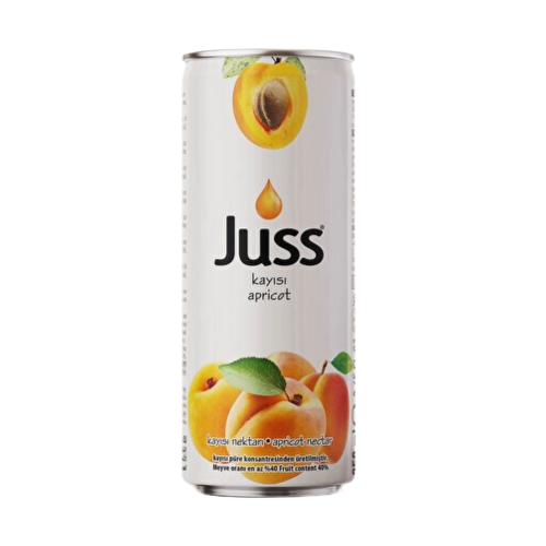 JUSS 250 ML APRICOT